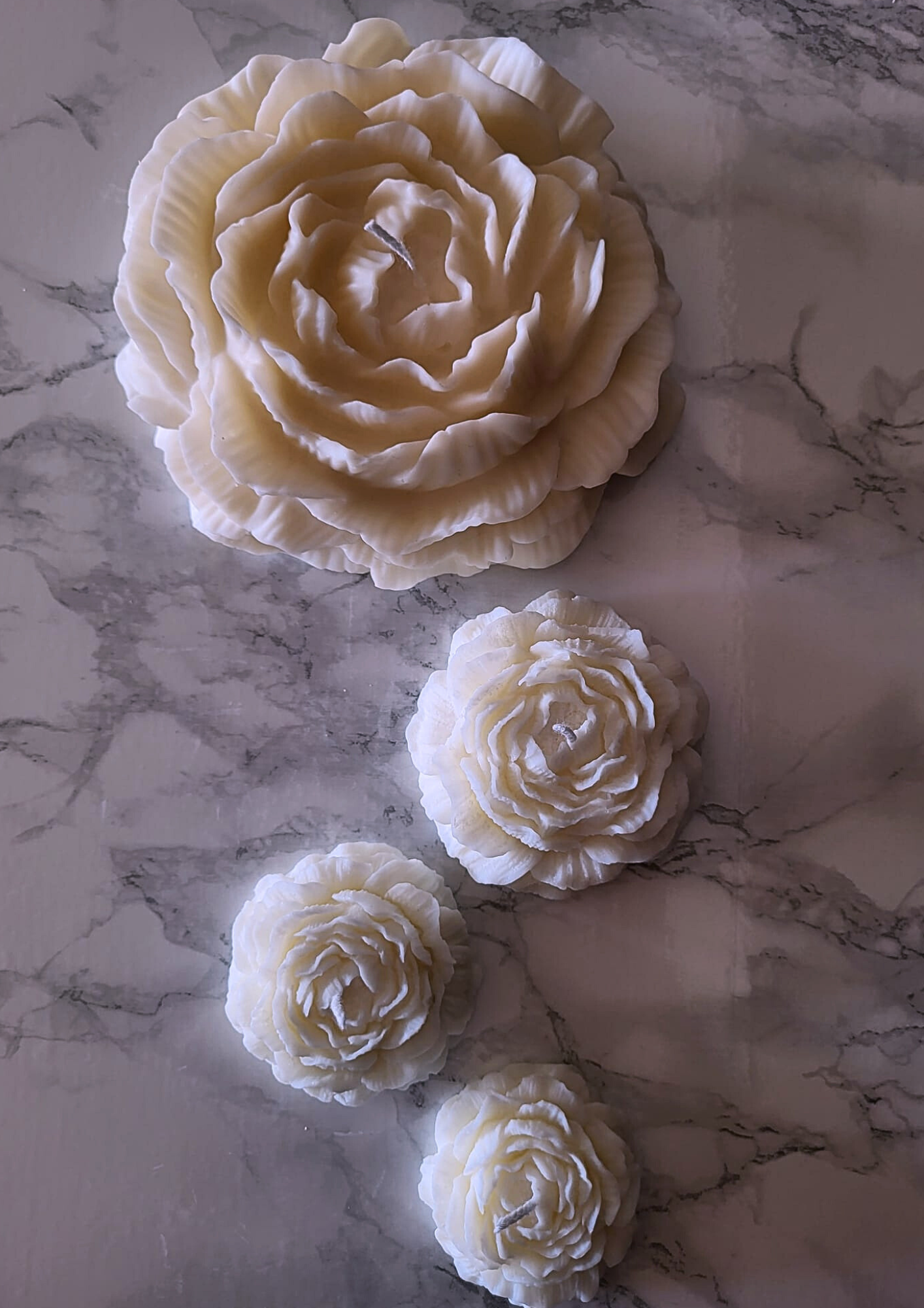 Surprise Box - Classic